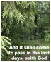 Christian Greeting Cards